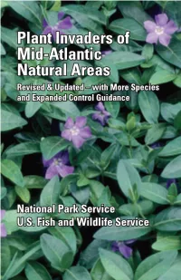 Plant Invaders of Mid-Atlantic Natural Areas Revised & Updated – with More Species and Expanded Control Guidance