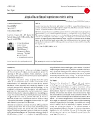 Atypical Branching of Superior Mesenteric Artery