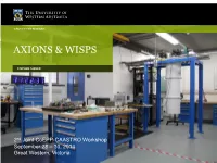 Axions & Wisps