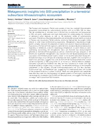 Metagenomic Insights Into S(0) Precipitation in a Terrestrial Subsurface Lithoautotrophic Ecosystem