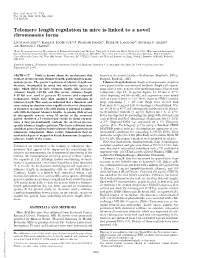 Telomere Length Regulation in Mice Is Linked to a Novel Chromosome Locus