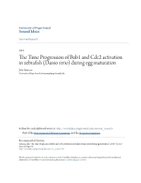 The Time Progression of Bub1 and Cdc2 Activation in Zebrafish (Danio