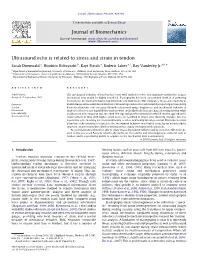 Ultrasound Echo Is Related to Stress and Strain in Tendon