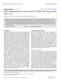 Humanizing the Mdx Mouse Model of DMD: the Long and the Short of It