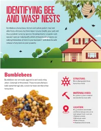 Identifying Bee and Wasp Nests
