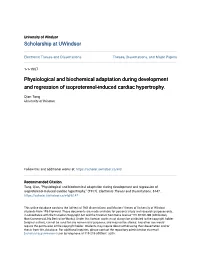 Physiological and Biochemical Adaptation During Development and Regression of Isoproterenol-Induced Cardiac Hypertrophy