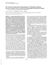 The Synthesis and Enzymatic Polymerization of Nucleotides Containing Mercury
