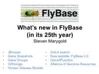 What's New in Flybase