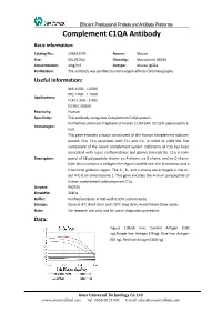 Complement C1QA Antibody