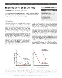 Hibernation: Endotherms Secondary Article