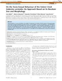 On the Socio-Sexual Behaviour of the Extinct Ursid Indarctos Arctoides: an Approach Based on Its Baculum Size and Morphology