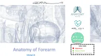 Anatomy of Forearm Doctors Notes Notes/Extra Explanation Editing File Objectives
