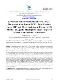 (BCF), Translocation Factor (TF) and Metal Enrichment Factor (MEF) Abilities of Aquatic Macrophyte Species Exposed to Metal Contaminated Wastewater