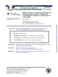 Calreticulin Controlling the Membrane Translocation of Immunogenicity Of
