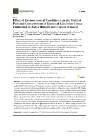 Effect of Environmental Conditions on the Yield of Peel and Composition