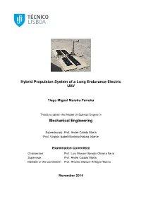 Hybrid Propulsion System of a Long Endurance Electric UAV