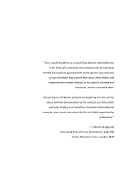 “There Would Doubtless Be a Just Feeling of Pride