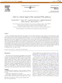 Cdx4 Is a Direct Target of the Canonical Wnt Pathway