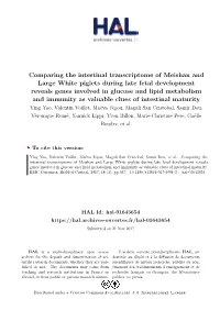 Comparing the Intestinal Transcriptome of Meishan And