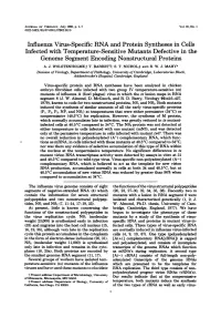 Influenza Virus-Specific RNA and Protein Syntheses in Cells