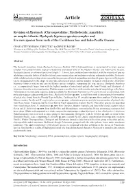 Revision of Hyalopale (Chrysopetalidae; Phyllodocida