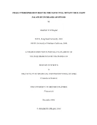 Abdullah Thesis