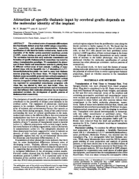 Attraction of Specific Thalamic Input by Cerebral Grafts Depends on the Molecular Identity of the Implant M
