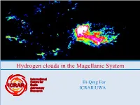 Hydrogen Clouds in the Magellanic System