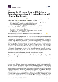 Substrate Specificity and Structural Modeling of Human