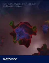 The Organoid Handbook Building Better Organoids Introduction Organoid Culture