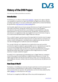 History of the DVB Project