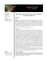 Phenotypic Diversity in Culex Vishnui Theobald (Culicidae: Diptera)