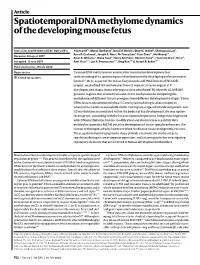 Spatiotemporal DNA Methylome Dynamics of the Developing Mouse Fetus