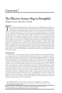 The Olfactory Sensory Map in Drosophila Philippe P