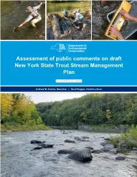 Assessment of Public Comment on Draft Trout Stream Management Plan