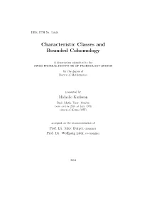 Characteristic Classes and Bounded Cohomology