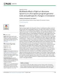 Multilevel Effects of Light on Ribosome Dynamics in Chloroplasts Program Genome- Wide and Psba-Specific Changes in Translation