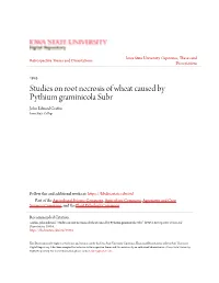 Studies on Root Necrosis of Wheat Caused by Pythium Graminicola Subr John Edward Grafius Iowa State College