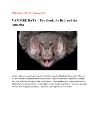 VAMPIRE BATS – the Good, the Bad, and the Amazing