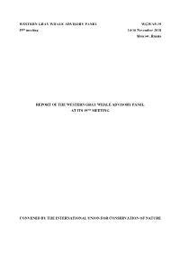 Report in English