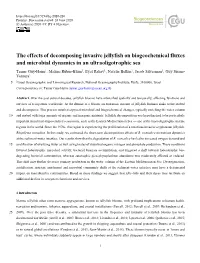 The Effects of Decomposing Invasive Jellyfish on Biogeochemical Fluxes and Microbial Dynamics in an Ultraoligotrophic