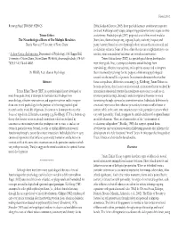 Triune Ethics: a New Moral Psychological Theory