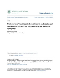 The Influence of Hypothalamic Steroid Implants on Ovulation and Ovarian Growth and Function in the Iguanid Lizard, Sceleporus Cyanogenys