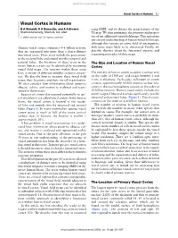 Visual Cortex in Humans 251