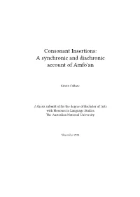 Consonant Insertions: a Synchronic and Diachronic Account of Amfo'an