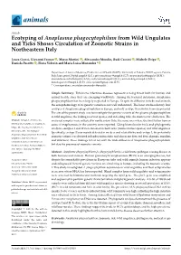 Ecotyping of Anaplasma Phagocytophilum from Wild Ungulates and Ticks Shows Circulation of Zoonotic Strains in Northeastern Italy