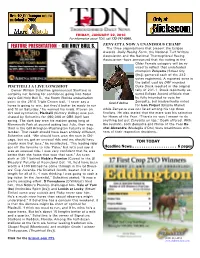Feature Presentation • Giii Holy Bull S