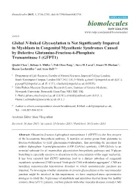 Global N-Linked Glycosylation Is Not Significantly Impaired in Myoblasts