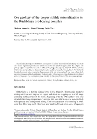 Ore Geology of the Copper Sulfide Mineralization in the Rudabánya Ore-Bearing Complex