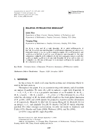Relative Fp-Projective Modules